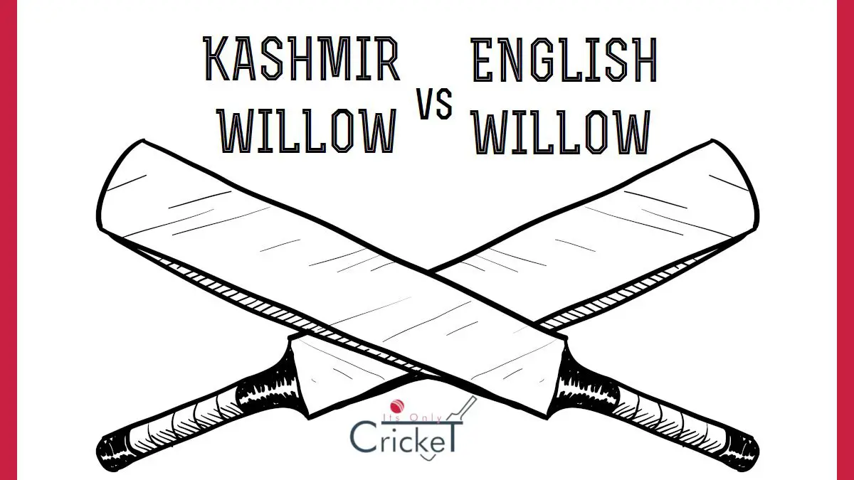 Kashmir Willow vs English Willow: Types of Cricket Bats