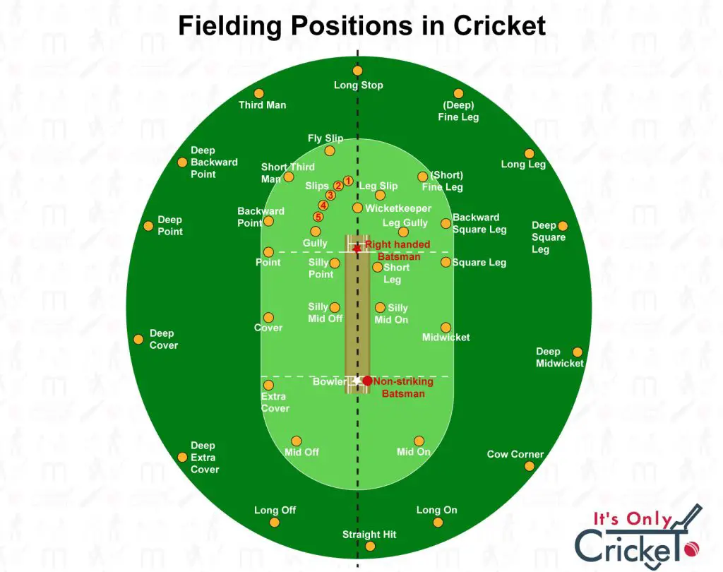 All fielding positions on the cricket field