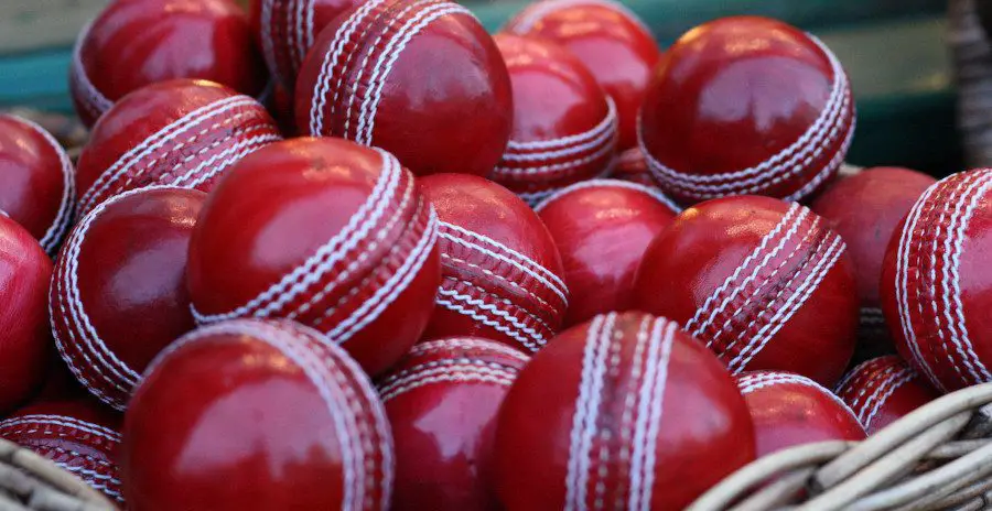 cricket ball types