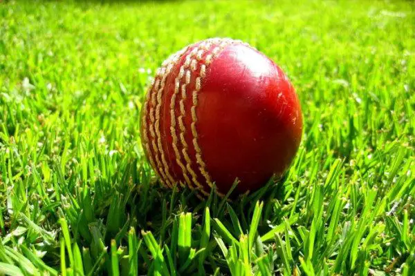 new cricket ball