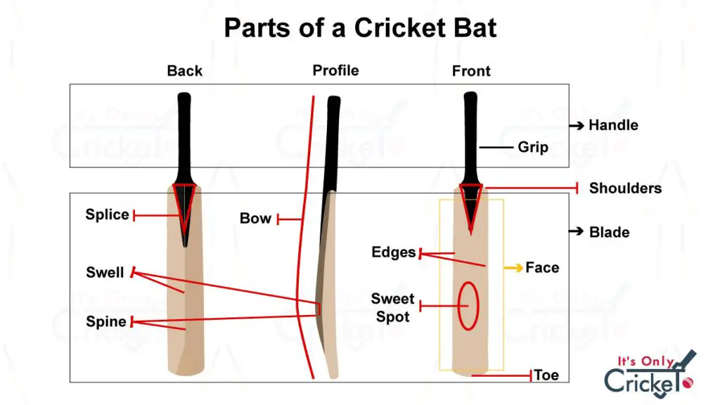 All Parts of a Cricket Bat