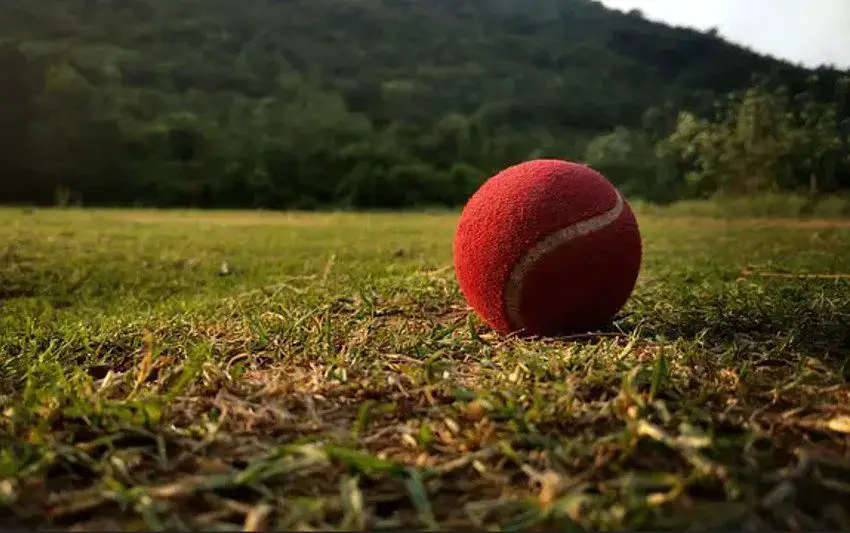 Practice Cricket Balls: Which Ball is Best for Cricket Training?
