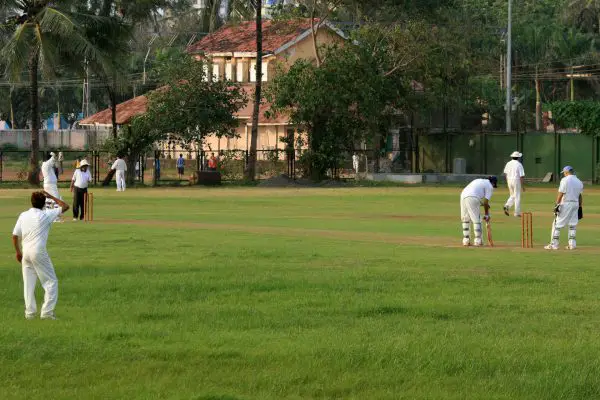 cricket pitch green