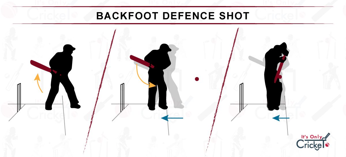 Learn 8 Basic Cricket Shots How to Play as a Beginner