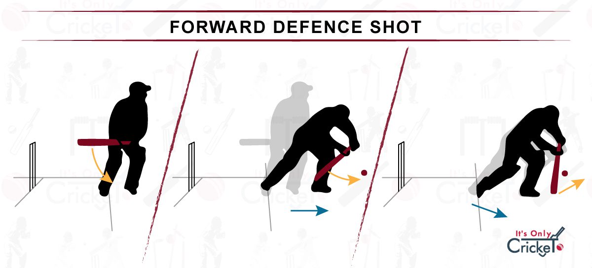 Learn 8 Basic Cricket Shots How to Play as a Beginner