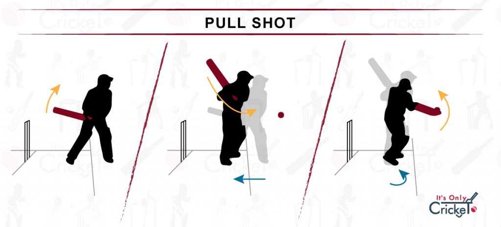 How to Play Pull Shot in Cricket