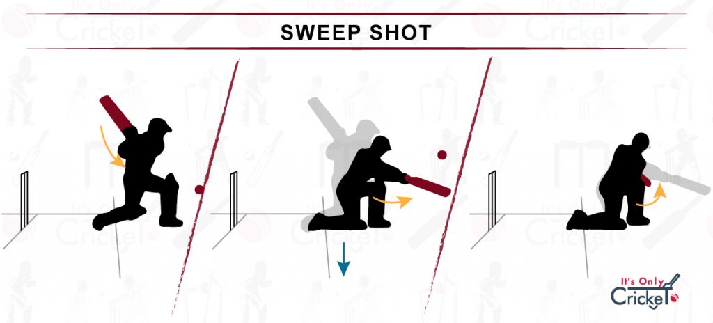 How to Play Sweep Shot in Cricket