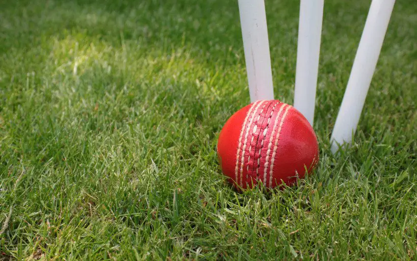 cricket-ball-fear