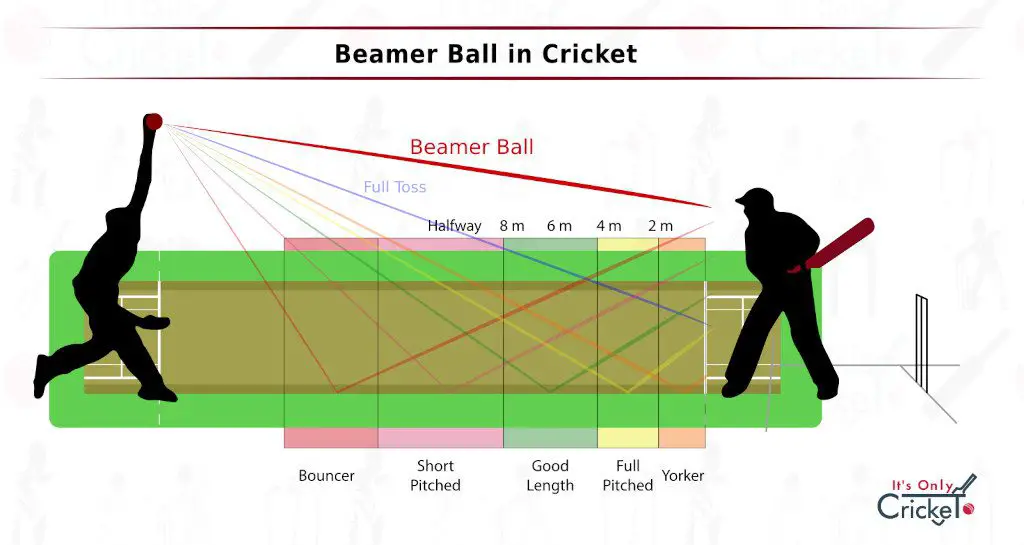Beamer Ball in Cricket