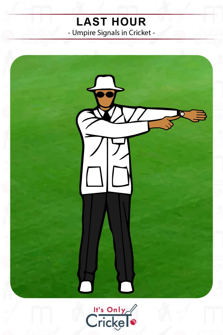 Cricket Umpire Signals What They Mean Illustrated with Images