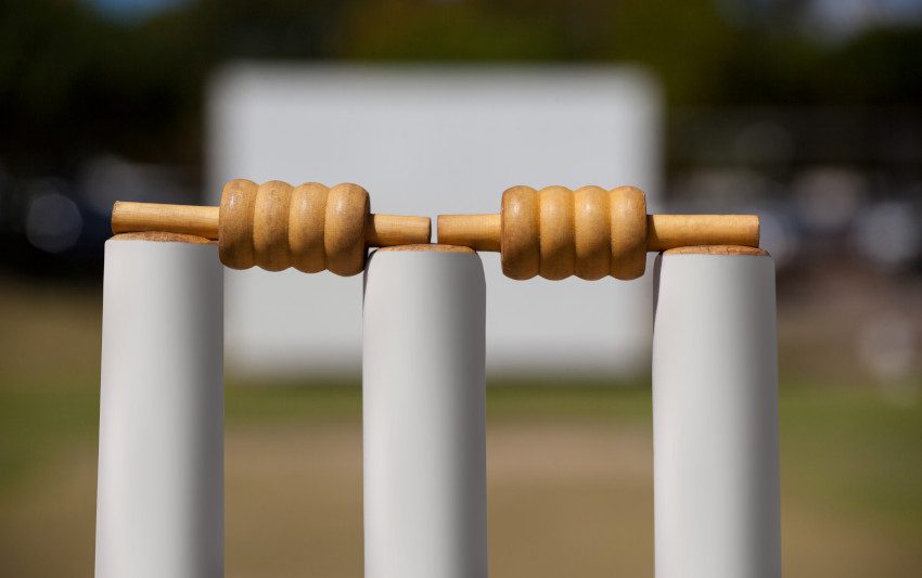 Best-Worst-Cricket-Stumps-Review-Roundup-feat