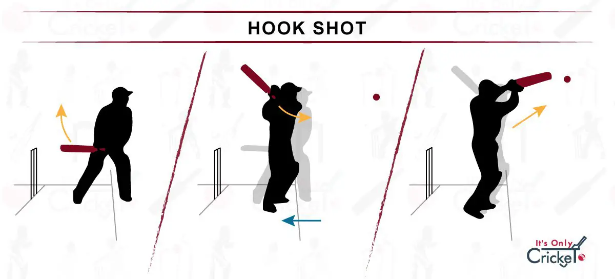 How Should a Cricket Hook Shot Be Played- KreedOn