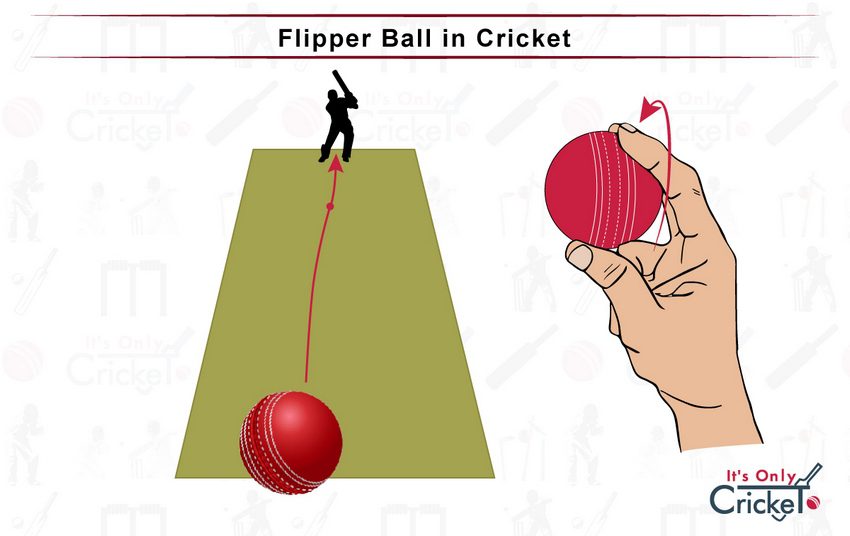 Flipper Ball in Cricket