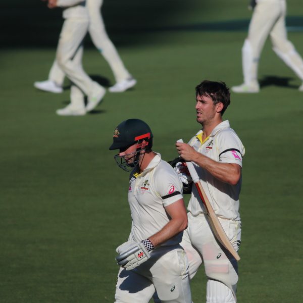 Shaun Marsh and Mitchell Marsh